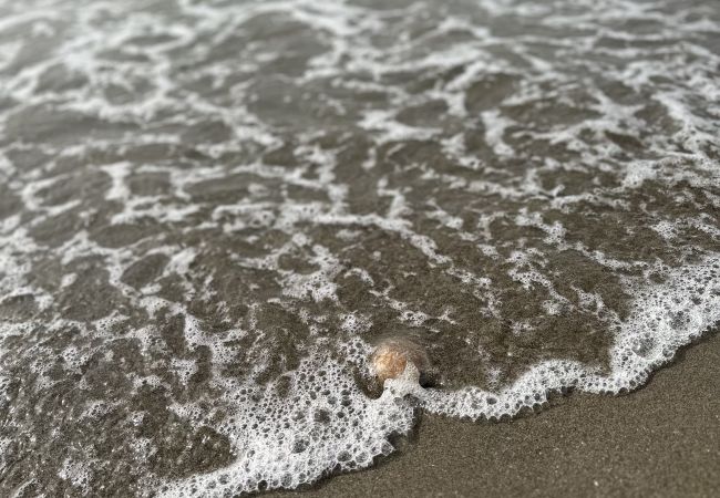 Apartment in Benalmádena - Capellanía Apartment - Mediterráneo Views Apartment in Benalmádena - Capellanía Apartment - Mediterráneo Views